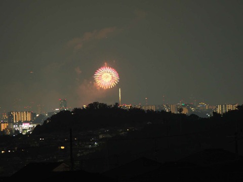 20220827なにわ淀川花火 (24)