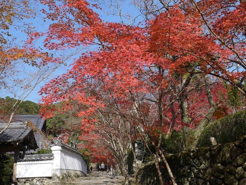 kabuzan20181127_2