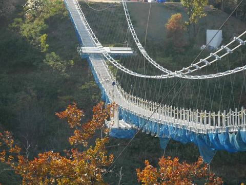 20241207吊り橋 (1)