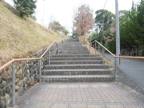 20260318摂津峡公園 (7)