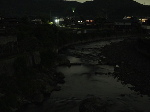 20230521ホタル (17)