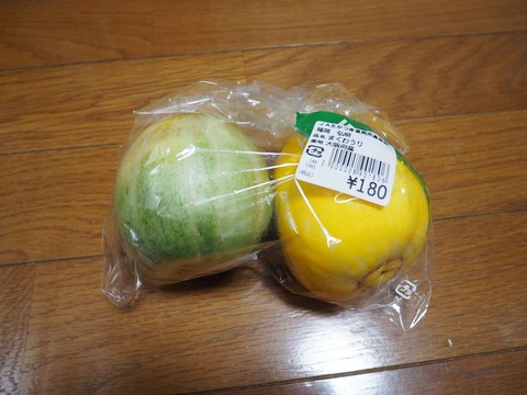 20230729マクワウリ