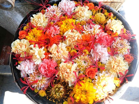 20241013野見神社 (6)