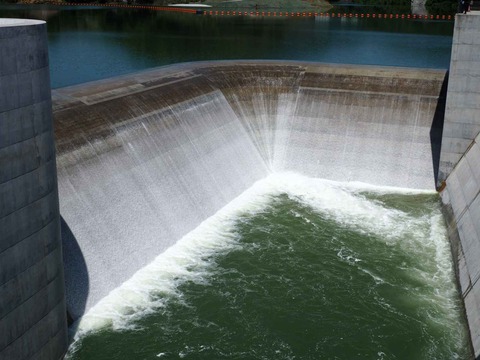 20230509安威川ダム昼前 (16)