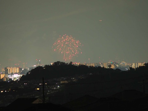 20220827なにわ淀川花火 (60)