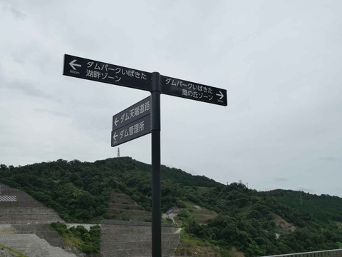 20240819安威川ダム (48)