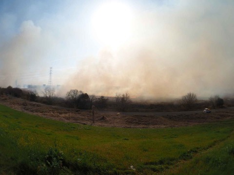 20230312ヨシ焼き (38)