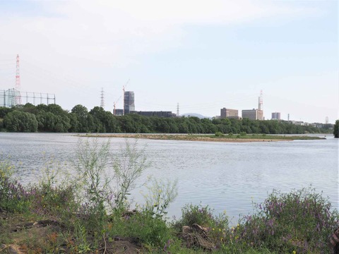 20230504檜尾川突堤 (12)