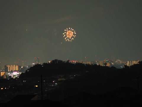 20220827なにわ淀川花火 (39)