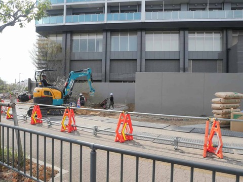 20260330桜植栽 (7)