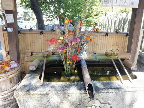 20241013野見神社 (8)