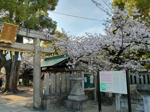 20250409永井神社 (1)