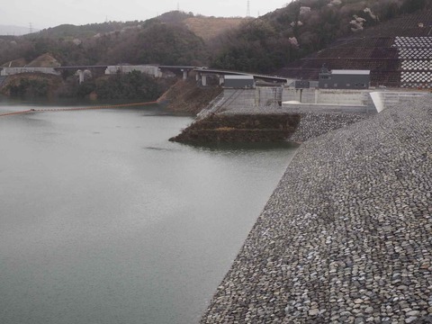 20230325安威川ダム (14)