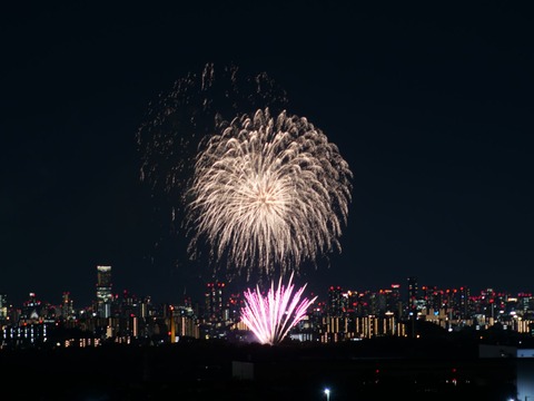 20240808辨天花火 (36)