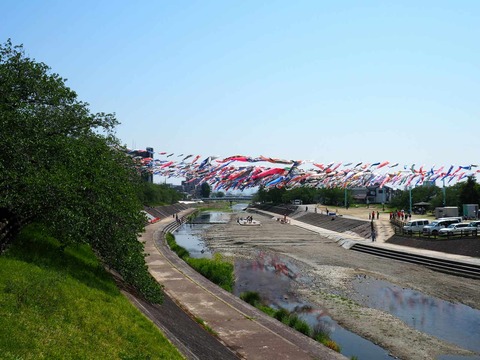 20250426こいのぼり (27)