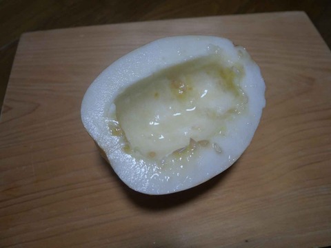 20240629マクワウリ (3)