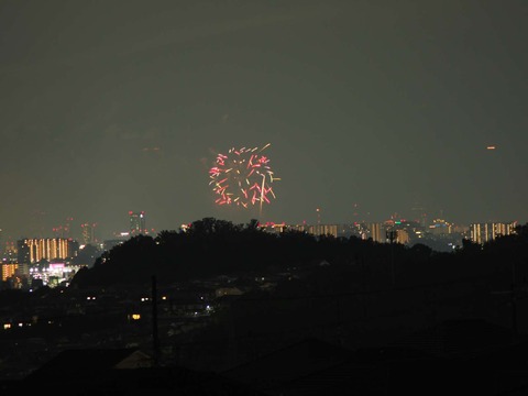 20220827なにわ淀川花火 (68)