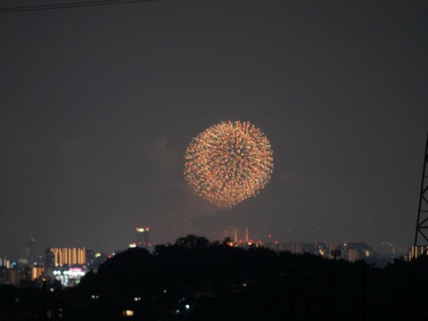 20240803なにわ淀川花火 (9)