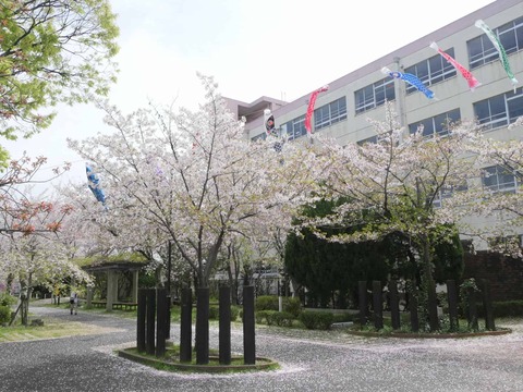 20260406玉川小学校 (4)