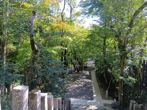 20251029神峯山寺 (16)