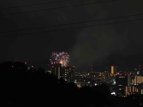 20220904くらわんか花火 (235)