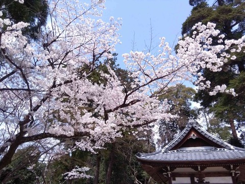 daijya2018_1
