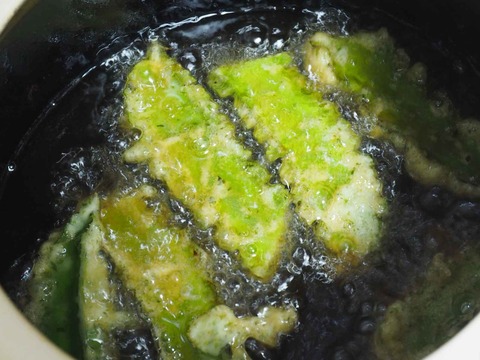 20230924シカクマメ (6)