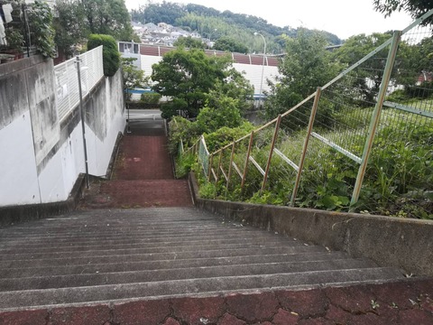 20230712階段真上 (4)