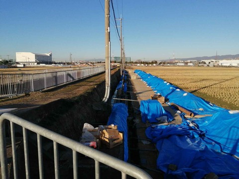 20240117西面水路 (4)