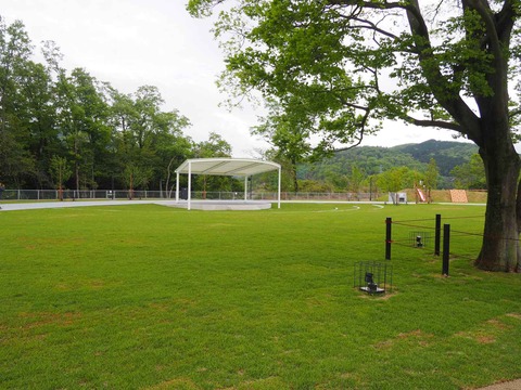 20240423ダムパークいばきた (6)