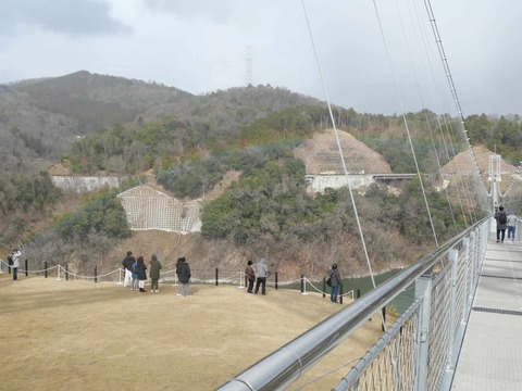 20250317吊り橋 (75)