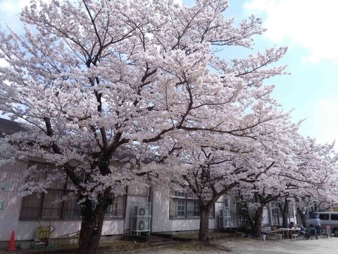 daijya2018_3