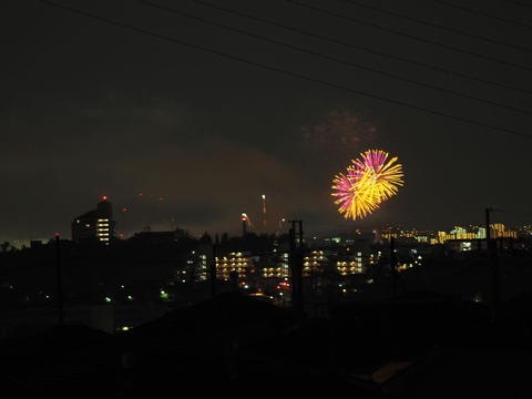 20221126万博花火 (30)