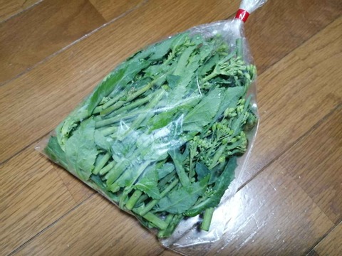 20240223のらぼうなな (2)