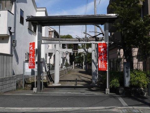 kamo1
