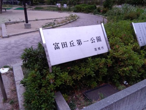 ajisai2018_1