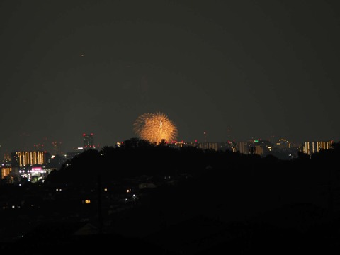 20220827なにわ淀川花火 (172)