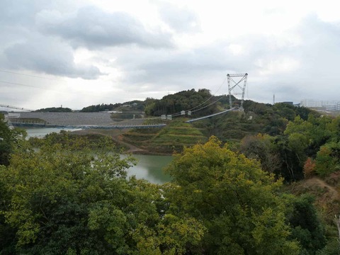 20241124吊り橋 (20)