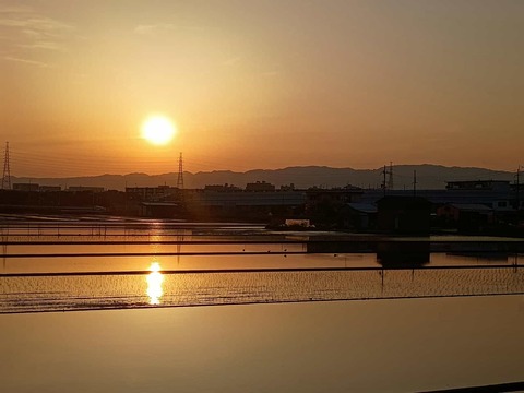 20250605夕日西面 (9)