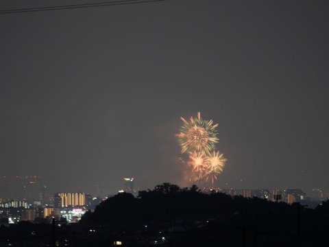 20240803なにわ淀川花火 (2)