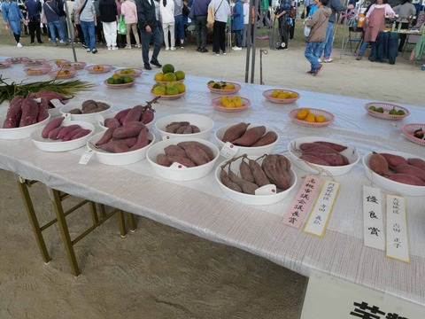 20241117農林業祭 (14)