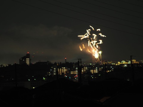 20221126万博花火 (45)