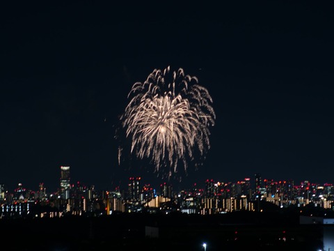 20240808辨天花火 (4)