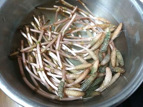 20240316つくし食材 (6)