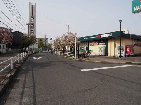 20240415桜 (6)
