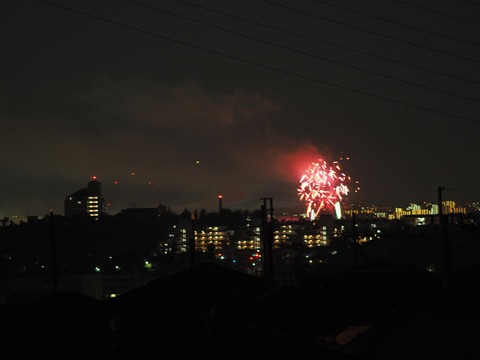 20221126万博花火 (43)