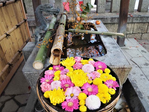 20221112野見神社 (2)