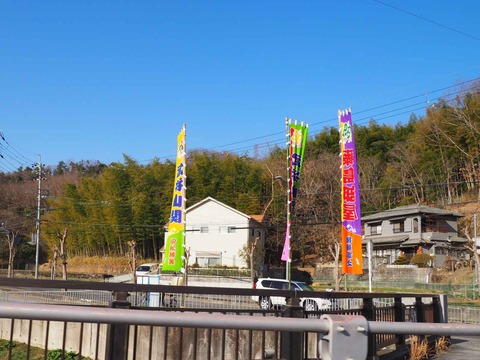 20230307藤島部屋 (2)