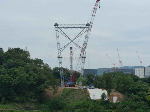 20240622吊り橋 (28)