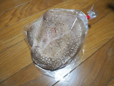 20221106食材 (2)